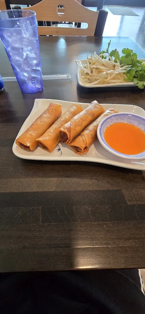 Fried Spring Rolls